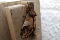 pebbleprominent28707_small.jpg