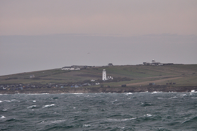 Portland Bird Observatory 